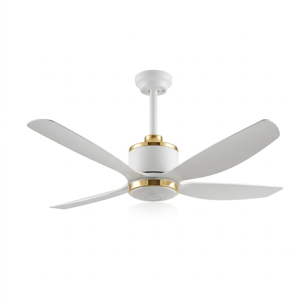 Fans & Electricals